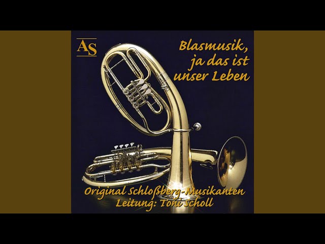 Original Schloßberg Musikanten - Wahre Liebe, treue Liebe