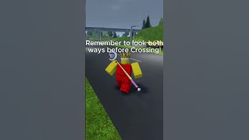 Remember to look both ways before crossing! #acarisapproachingmyrobloxavatar