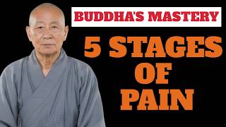 The 5 Stages Of Pain Buddha Talked About | And How To Pass Through All Of Them | 65