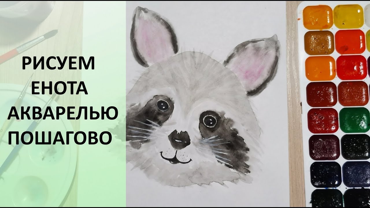 Как нарисовать ЕНОТА акварелью. Мастер класс для детей. How to draw a raccoon. Watercolor