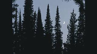 Download Lagu the cure || lullaby (slowed) MP3