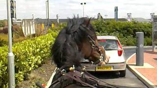 Download Lagu mcdonalds drive through on horse but then was kicked out.(+kfc served us ) MP3 Download Lagu mcdonalds drive through on horse but then was kicked out.(+kfc served us ) MP3