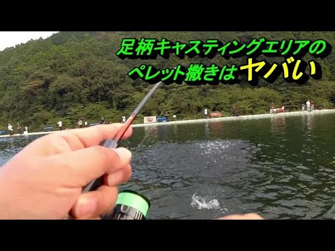 魚沸きまくり 足柄キャスティングエリア ペレット撒き Youtube 魚沸きまくり 足柄キャスティングエリア ペレット撒き Youtube