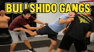 Multiple Moron Bullshido Compilation
