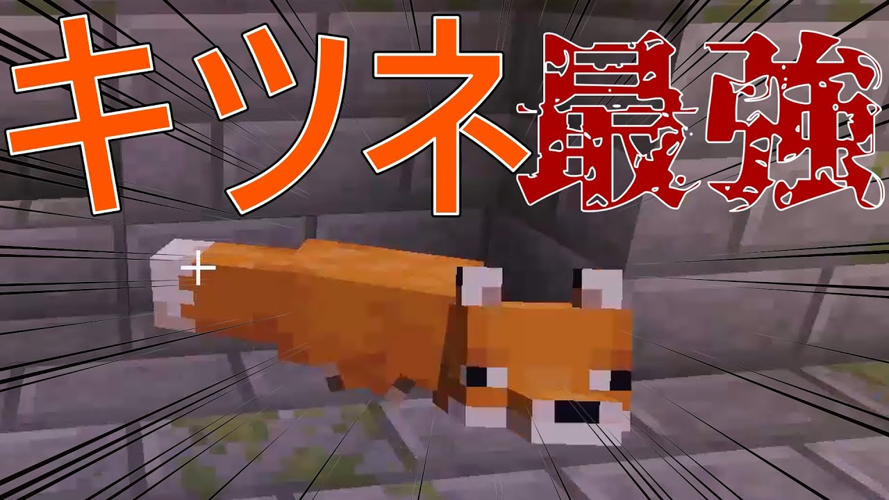 マイクラ キツネが強すぎるｗｗ きちろっせお 戦いのターン編 Youtube
