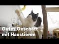 Das gute Geschäft mit den Haustieren – von Hunden bis Katzen | Doku aus Österreich