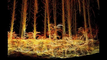 Innovation in Forest Inventory using Ultra-dense LiDAR