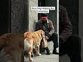 👍 Nice Dog 🐕 #billysbrigade #helpingthehomeless #likeandsubscribe