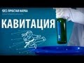 ВЫБИВАЕМ ДНО У БУТЫЛКИ - опыт с кавитацией