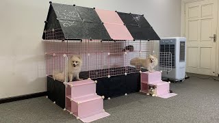 How To Make Cool House for Pomeranian Dogs in The Summer | Cute Cats | MR PET #111