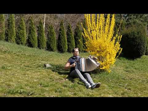 Sunnseit Boarischer