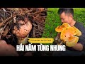 Một Mình Vào Rừng Săn Nấm Tùng Nhung – Gặp Toàn Hàng Cực Phẩm ! Hái nấm phần 15 Mushroom Foraging