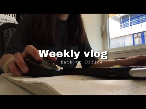 Vlog #25 ⎢Thực tập sinh, trở lại văn phòng, canh đậu tương HQ, cơm trộn,