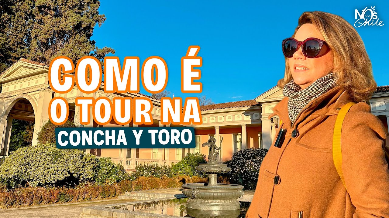 Tour noturno com jantar e vinho na Concha y Toro - a maior vinícola do Chile 