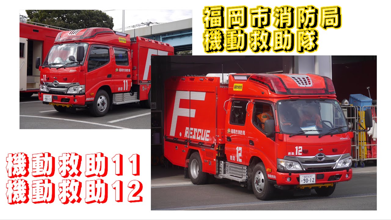 活動歴および当時の関連ビジュアル記録