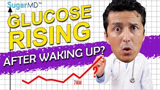 Glucose Rising After Waking Up? Here Is Why!