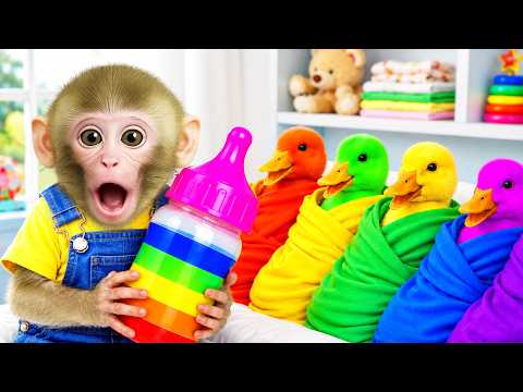 Mono Luna alimenta a unos adorables patitos de colores y vive una tierna aventura