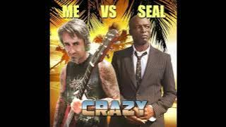 ME VS SEAL (PUNK COVER of CRAZY)