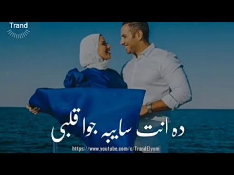 حالات واتس عمرو دياب زي مانتى ده انتي سايبه جوا قلبي ذكري حلوه