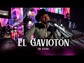 El Gaviotón (En Vivo) - Tapy Quintero
