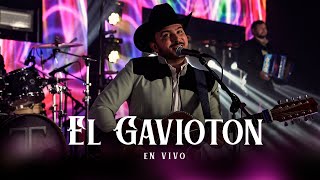 El Gaviotón (En Vivo) - Tapy Quintero