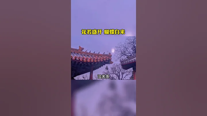 花若盛開，蝴蝶自來 #禪修 #智慧 - 天天要聞