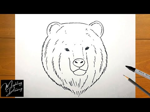 How to Draw a Bear Face Easy