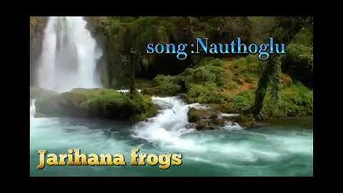 JARIHANA FROGS..NAUTHOGLU