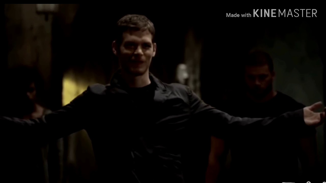 🖤Ребекка Майклсон - дикая пума🖤