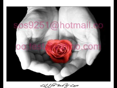 تامر حسني بتغيب احلى اغنيه 