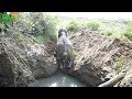 Wildlife team rescues an elephant from dying in a mud pit