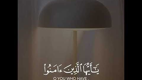 القارئ أحمد النفيس | ارح سمعك.. تلاوة هادئة تريح القلب والعقل💙🎧