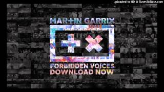 Martin Garrix   Forbidden Voices   Resimi