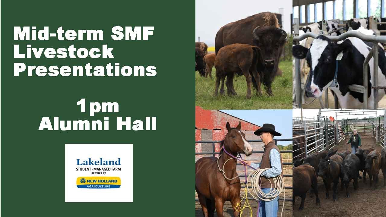 SMF Livestock Mid-year presentations| Lakeland College Canada - YouTube