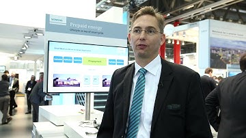 The role of smart meters in the digital grid