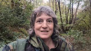 Autumn Arrives in Wales: Coastal Walks, Fungi & Vlogtober Begins!