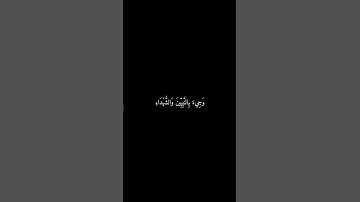 ﴿وَأَشْرَقَتِ الْأَرْضُ بِنُورِ رَبِّهَا وَوُضِعَ الْكِتَابُ﴾تلاوة خاشعة بصوت الشيخ #ماهر_المعيقلي🌿💗