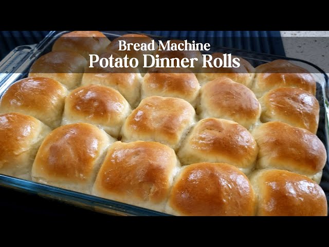 Sweet Potato Rolls Bread Machine Parmesan Potato Rolls (Bread Machine