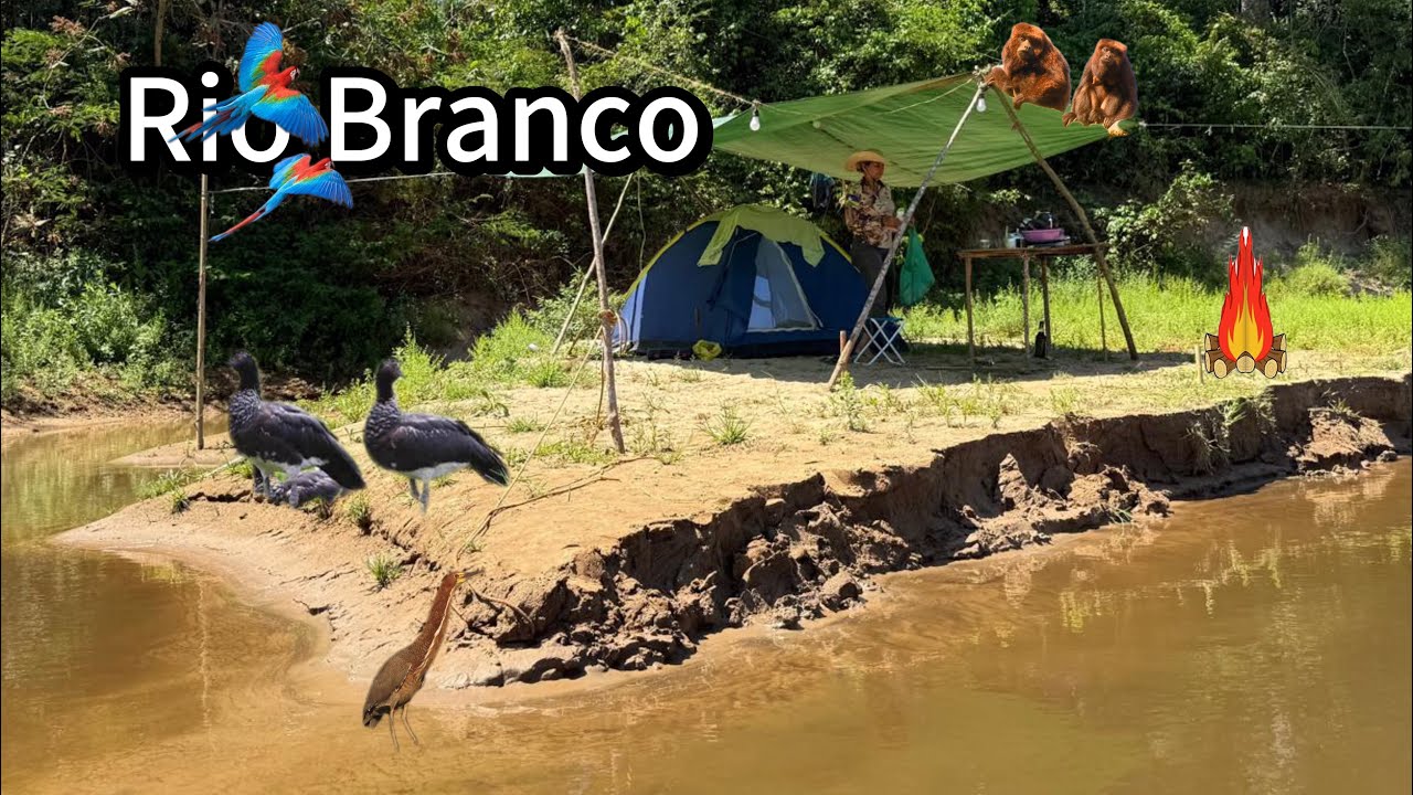 🏕️ACAMPAMENTO e PESCARAIA na barraca do RIO BRANCO ALTA FLORESTA RONDÔNIA 