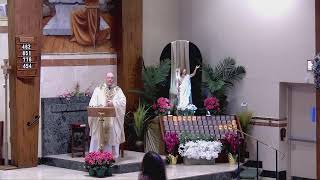 May 17, 2026 | 7th Sunday of Easter