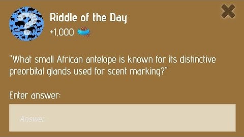 Zoo Today video code I Zoo Riddle of the day I 30 January Riddle of the day