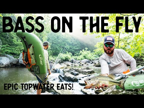 Epic Topwater Eats! | Fly Fishing For Bass | Remote River Adventure In A Raft