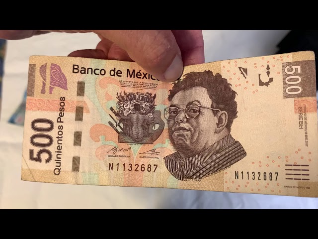 All About Mexican Pesos (MXN) - Getting Used to Mexican Money — Spanish and  Go