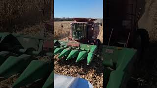 Corn Harvest 2022 Case Ih 2166 Axial-Flow