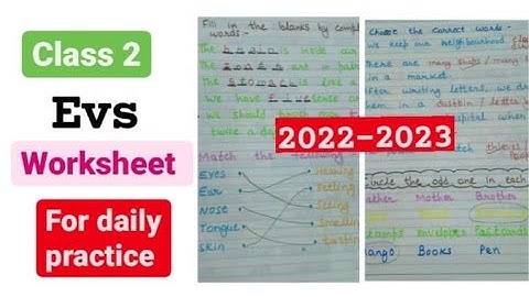 Class 2 EVS worksheet/EVS worksheet for Class 2/Class 2 EVS/@englishworksheet