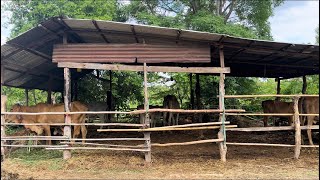 พาพ่อๆแม่ๆเอฟซีชมบริเวณเถียงนาค้าบ📣🌱