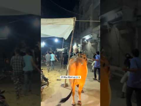 orangi twon 23 may Meetup Saturday night