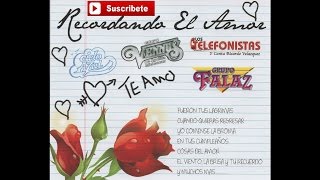 Video thumbnail of "Los Telefonistas - Te Adore"