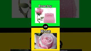 What would you choose? #thisorthat #wouldyourather #questions #choice #royalhoney #rose #toys #fyp