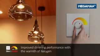 Celebrity Megaman Dim to Warm LED Net Worth